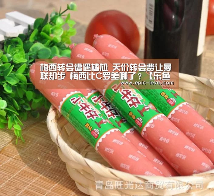 乐鱼体育App下载