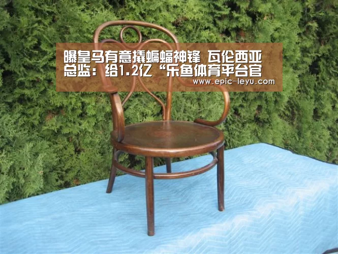 乐鱼体育平台官网