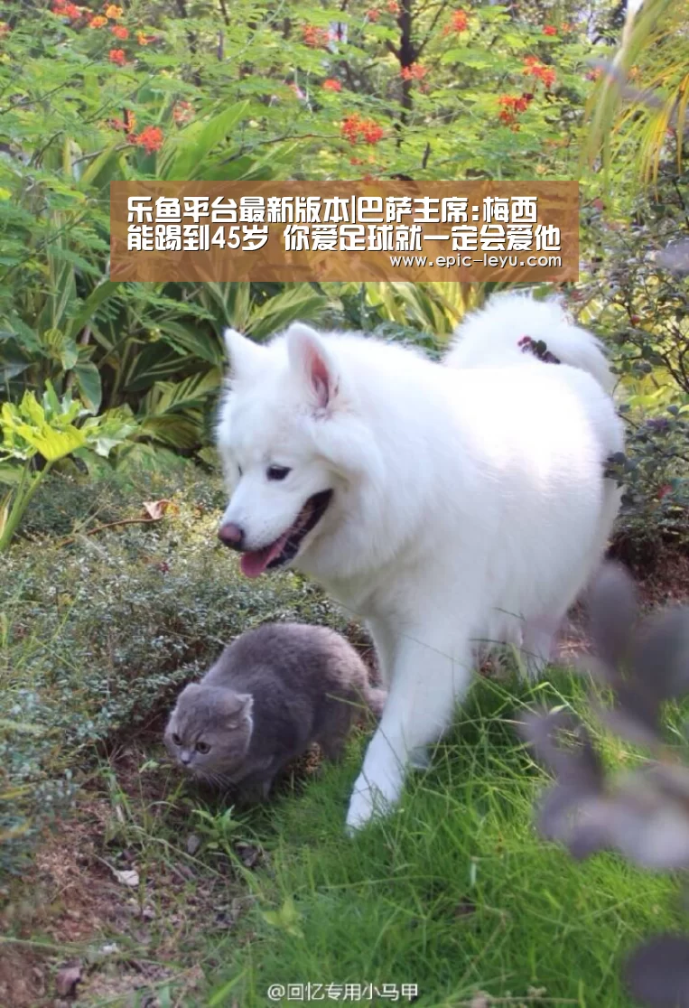 乐鱼官方网站地址