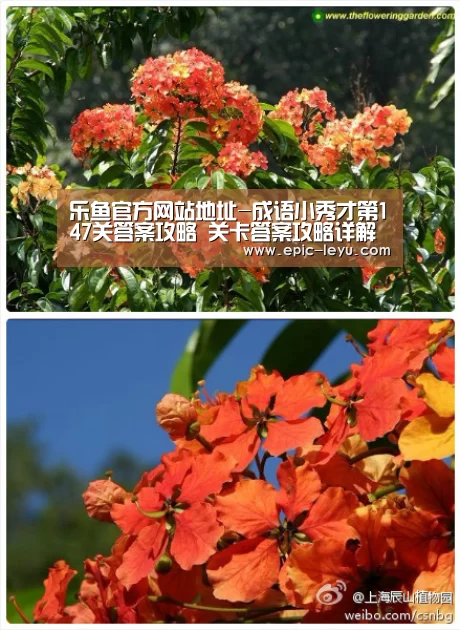 乐鱼体育平台官网